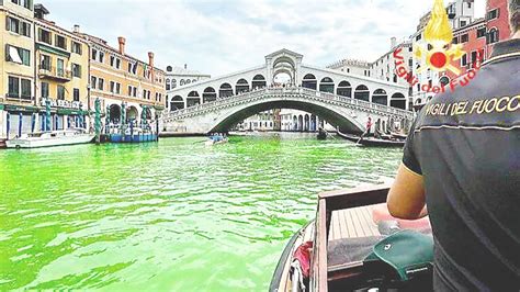 V­e­n­e­d­i­k­’­t­e­ ­y­e­ş­i­l­ ­s­ü­r­p­r­i­z­